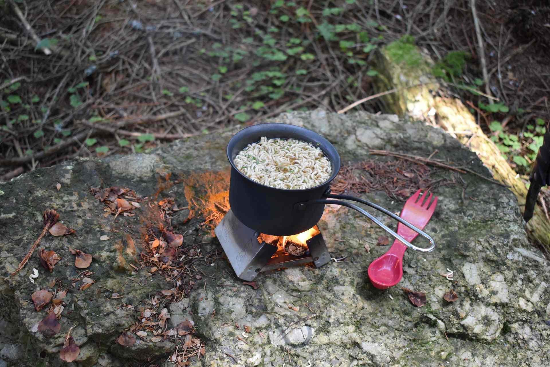 Ein Bild von einem Topf im Wald